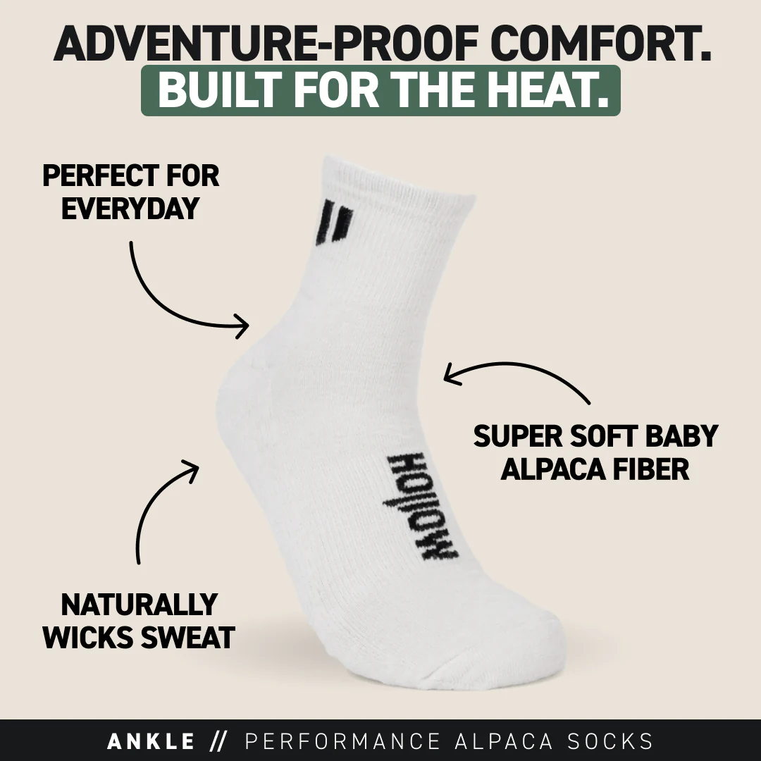 Ankle Socks - Image 3