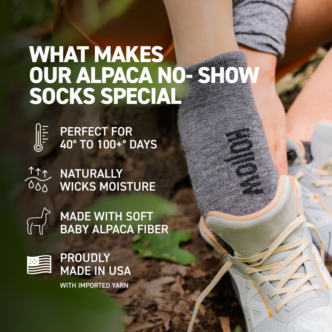 No-Show Socks - Image 4
