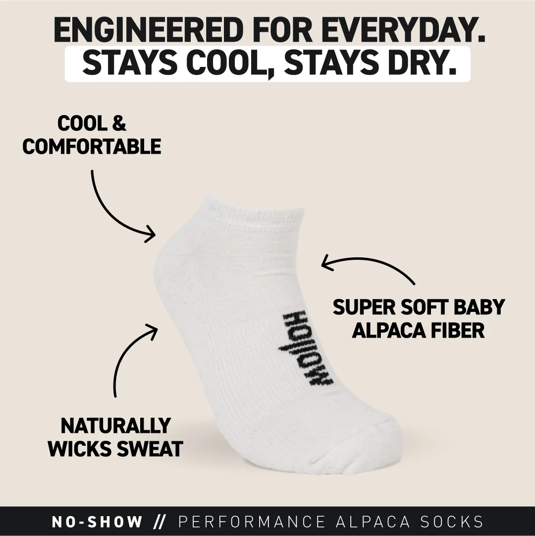 No-Show Socks - Image 3